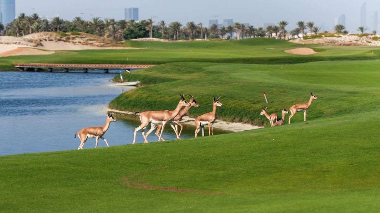 Saadiyat Beach Golf Club earns coveted Audubon sustainability certification